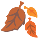 Fallen Leaf