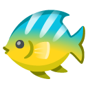 Fish