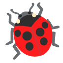 Ladybug
